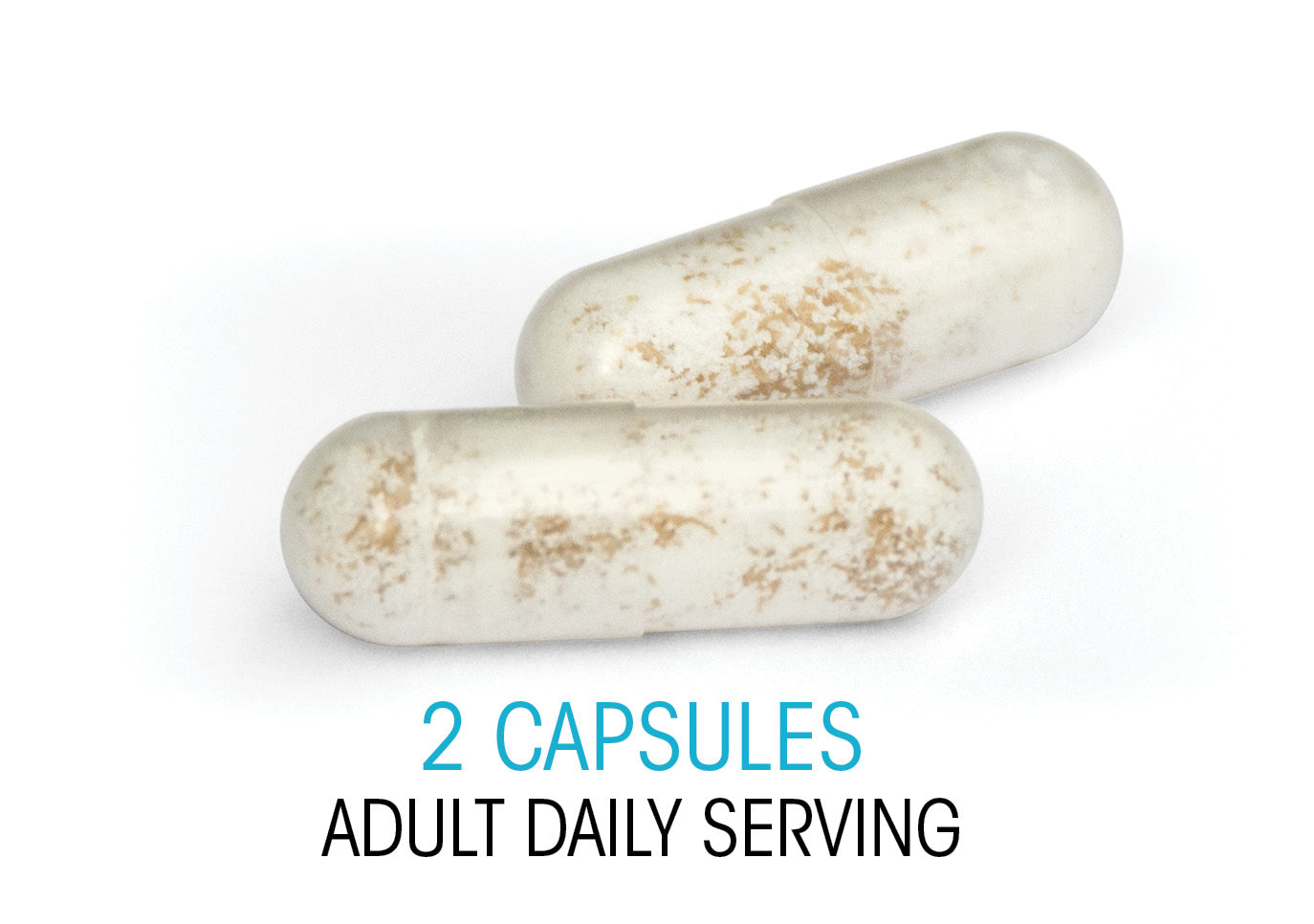 Ultimate Probiotic Supplement