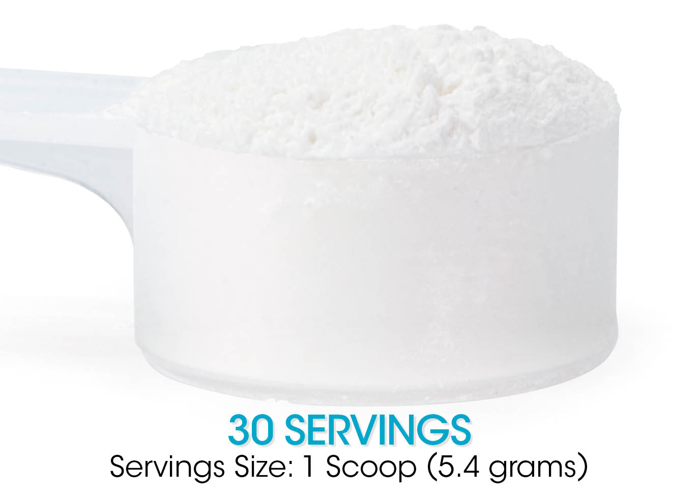 Gut Repair - Protect and Fortify