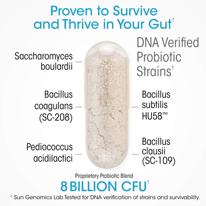 Ultimate Probiotic Supplement